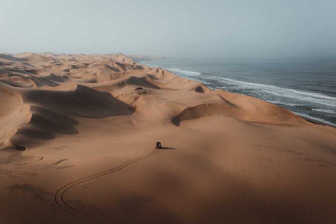 Mola Mola Marine Dune Experience - Who should choose this full-day outing?