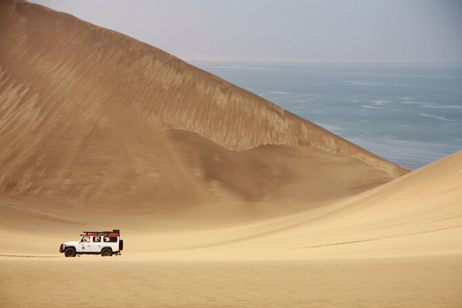 Mola Mola Marine Dune Experience - Oysters, snacks, and a surprisingly social boat ride