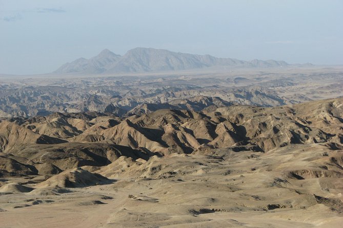 NAMIB DESERT TOURS, Full-Day and Half-Day Tours from Swakopmund, Namibia - Wildlife sightings depend on luck