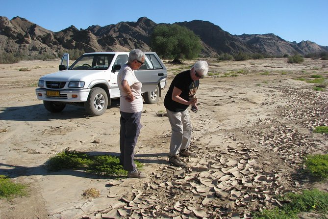 NAMIB DESERT TOURS, Full-Day and Half-Day Tours from Swakopmund, Namibia - Moon Valley from the viewpoint