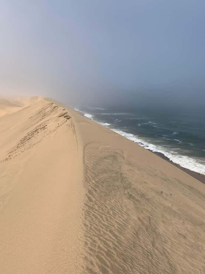Namibia; Classic Sandwich Harbour Tour - Five details that shape the day