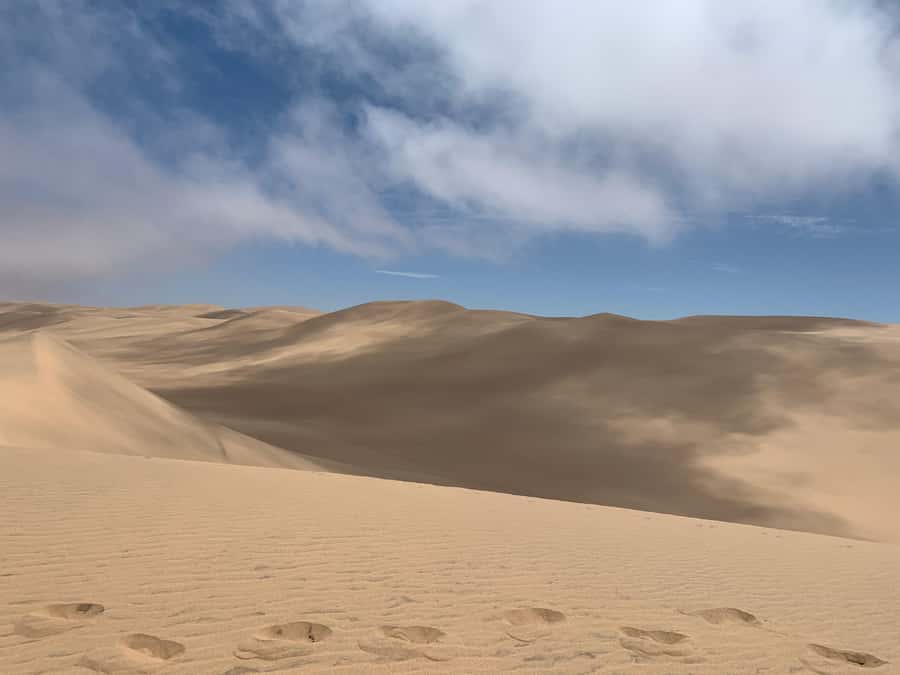 Namibia; Classic Sandwich Harbour Tour - Why Sandwich Harbour feels different