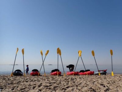 Kayak with Seals Experience