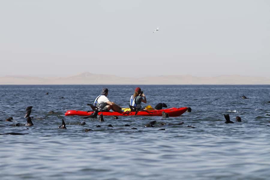 Pelican Point: Kayak with Seals Experience - Getting ready for the Atlantic