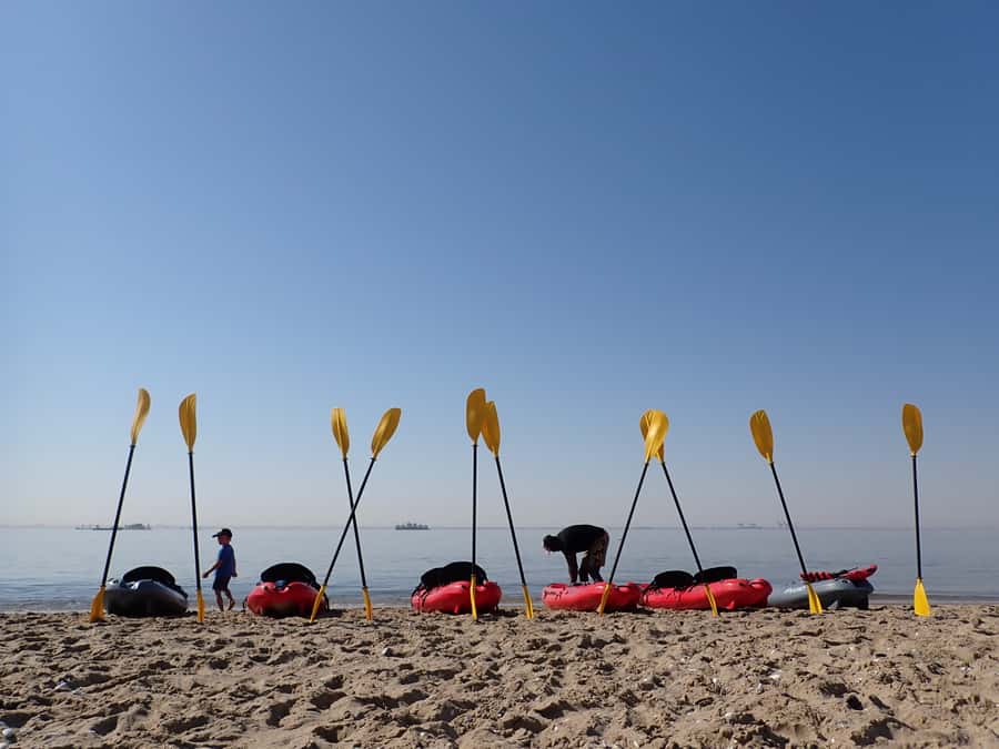 Pelican Point: Kayak with Seals Experience - Crossing the bay by catamaran