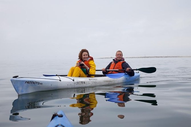 Pelican Point Kayaking Half-Day Tour - Why Pelican Point Is Worth the Morning