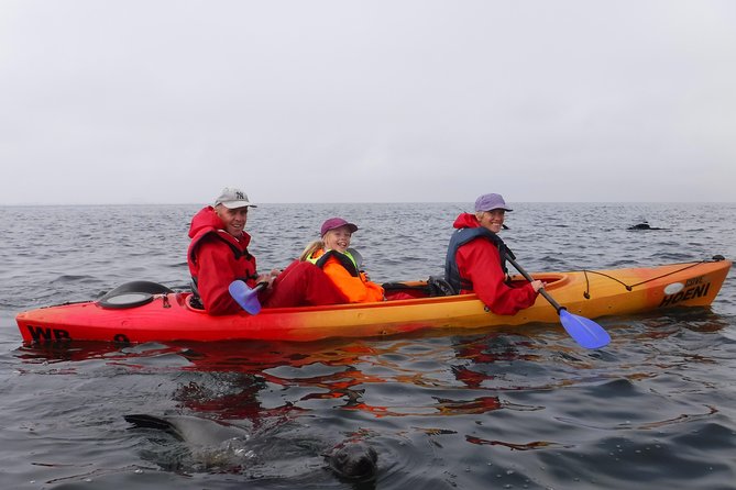 Pelican Point Kayaking Half-Day Tour - Waterproof Gear and the Photo Bonus