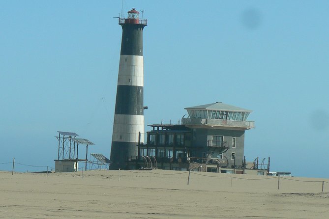 Pelican Point Peninsula Tour- visit the seal colony - Why Pelican Point is worth your time