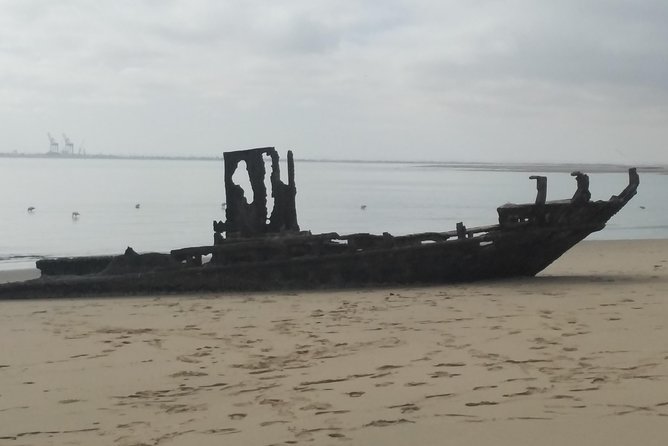 Pelican Point Seal Colony 4x4 Tour - Food, drinks, and the value of the $85.42 price