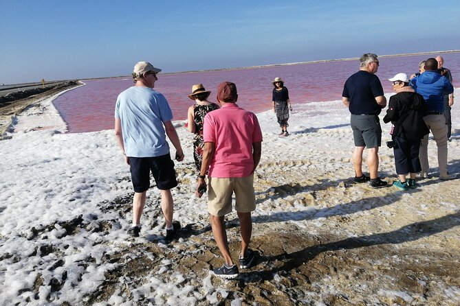 Pelican Point tours,Lagoon tours, Dune7 Adventure - Day two in the Namib Desert and Walvis Bay