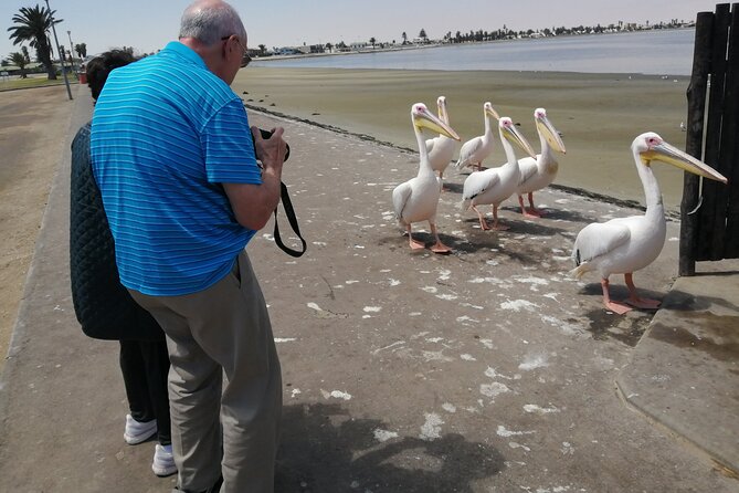 Pelican Point tours,Lagoon tours, Dune7 Adventure - A private tour with room to adjust