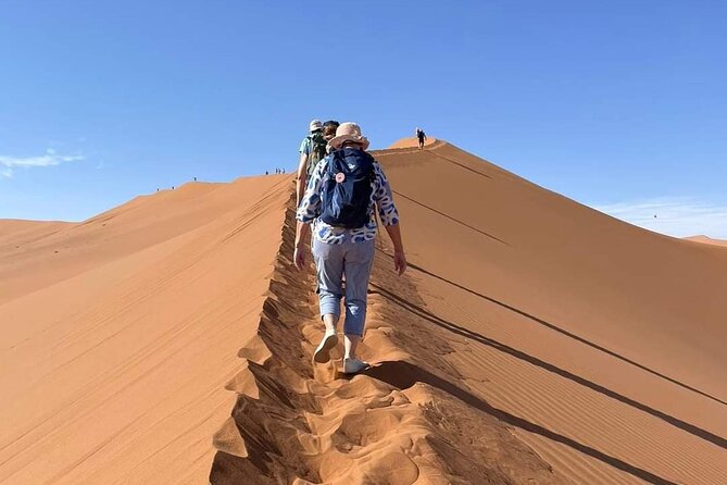 Pelican Point tours,Lagoon tours, Dune7 Adventure - Who will enjoy this most?