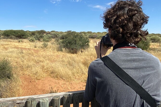 Predator Encounter: Half-Day Carnivore Feeding Windhoek - Leaving Windhoek at 8:00 am