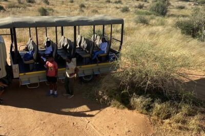 Predator Encounter: Half-Day Carnivore Feeding Windhoek