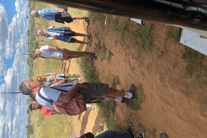 Predator Encounter: Half-Day Carnivore Feeding Windhoek - Close access, ethical questions, and mixed expectations
