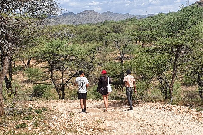 Private Guided Walking Tour with the San in Windhoek - Learning the uses of bush plants
