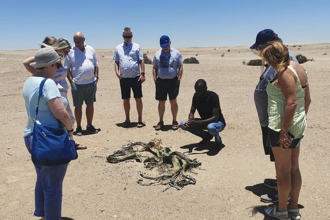Private Half Day Coast Tour of Walvis Bay and Swakopmund City - A Four-Hour Introduction to Namibia’s Atlantic Coast
