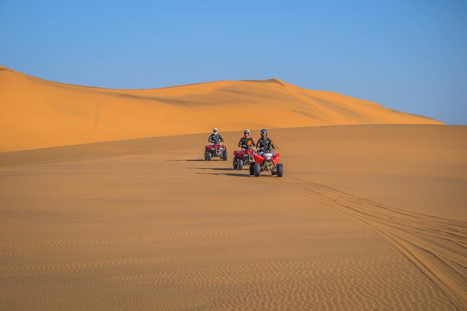 Quad Bike Tour (90min) - Is $39.30 good value?