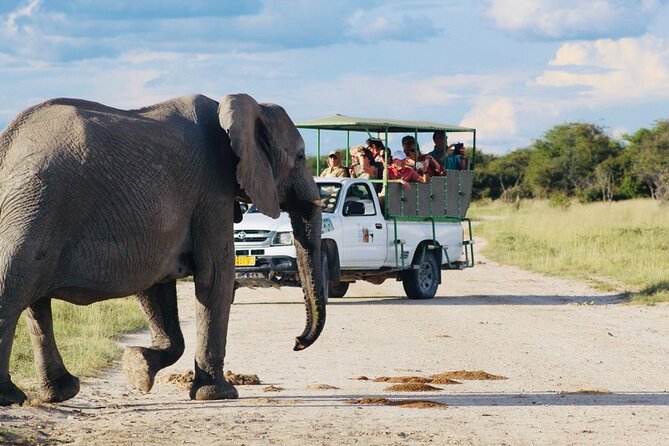 Safari in Etosha national park with professional tour guides born in Etosha. - Key points at a glance