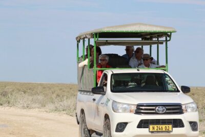 Safari in Etosha national park with professional tour guides born in Etosha.