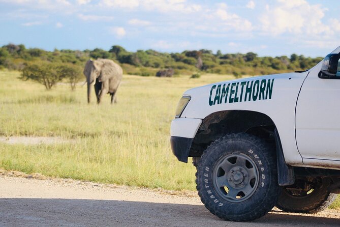 Safari in Etosha national park with professional tour guides born in Etosha. - Isack and Oscar add the human side