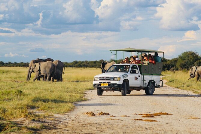 Safari in Etosha national park with professional tour guides born in Etosha. - What the $127.76 price really covers