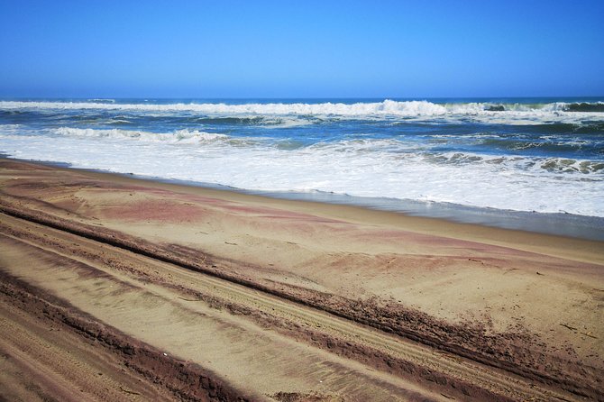 Sandwhich Harbour Dune 4x4 Full Day - Is $173.77 a fair price?
