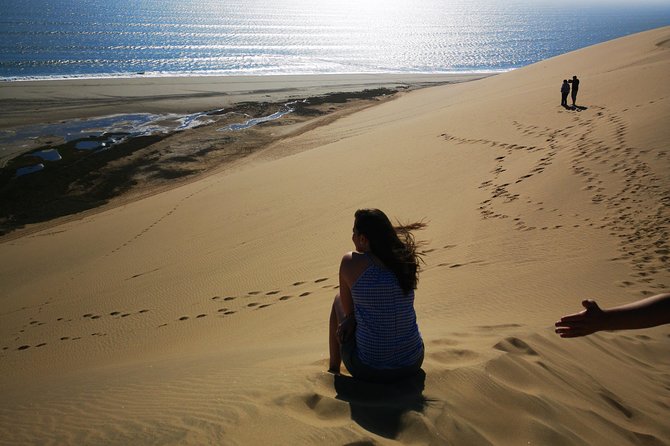 Sandwhich Harbour Dune 4x4 Half day - Why Sandwich Harbour is worth your time