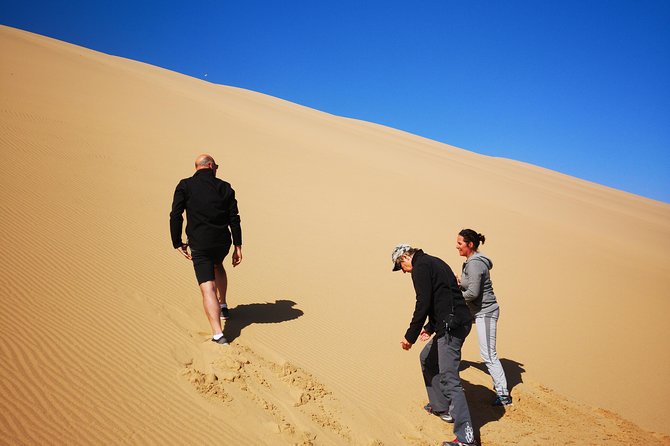 Sandwhich Harbour Dune 4x4 Half day - What the price includes at $150.32