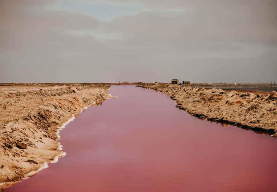 Sandwich Harbour 4x4 Guided Tour - Why Sandwich Harbour is worth your time