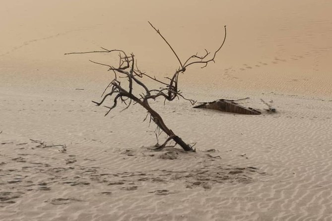 Sandwich Harbour 4x4 guided tours.Join us for an awe inspiring adventure. - Is $143.78 good value?