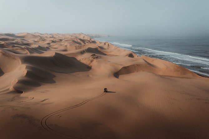 Sandwich Harbour 4x4 Half Day Experience with Beach Braai - Five details that make this outing special