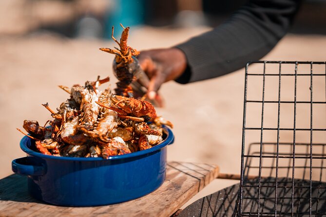 Sandwich Harbour 4x4 Half Day Experience with Beach Braai - What the $275.25 price covers