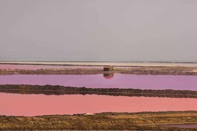 Sandwich Harbour 4x4 Private Guided Tour - Your very own private tour! - Key points at a glance