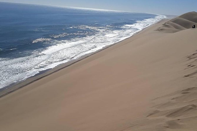 Sandwich Harbour Adventure: Seals and Sandwich harbour dune drive - Five things to know before you book