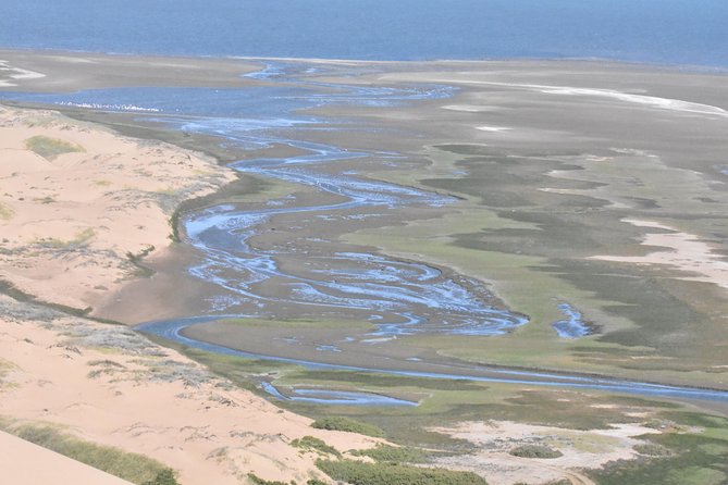 Sandwich Harbour Adventure: Seals and Sandwich harbour dune drive - Group size, vehicle comfort, and the real value of $195.26