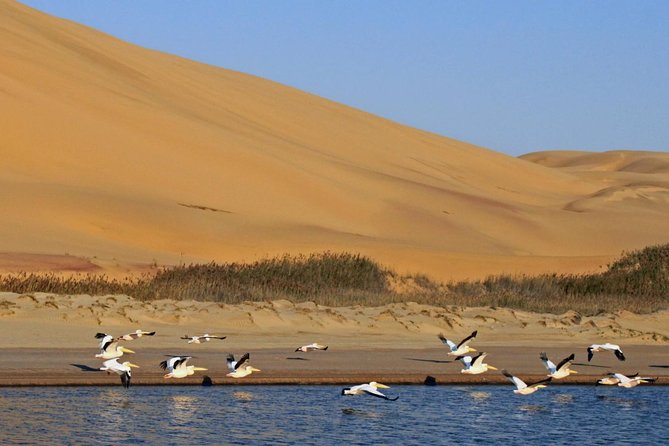 Sandwich Harbour Full Day Excursion - Guides, Vehicles, And Group Size