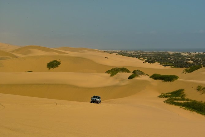 Sandwich Harbour Guided, Self-Drive Tour - A specialized 4x4 and the self-drive question