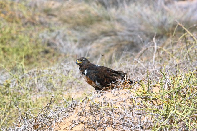 Sandwich Harbour Half-Day 4x4 Tour (5 hours) from Walvis Bay - The drive toward Sandwich Harbour