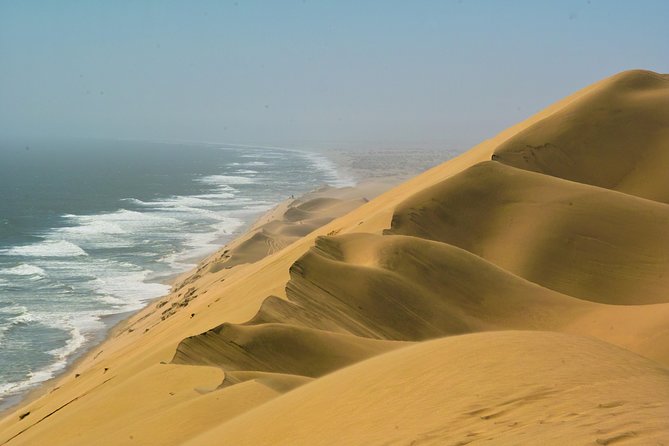 Sandwich Harbour & Pelican Point Full Day Tour - Why this Walvis Bay day trip is worth considering