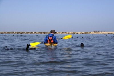 Sandwich Harbour & Pelican Point Full Day Tour