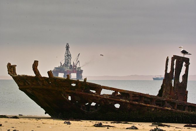 Sandwich Harbour & Pelican Point Full Day Tour - Pelican Point and Walvis Bay wildlife