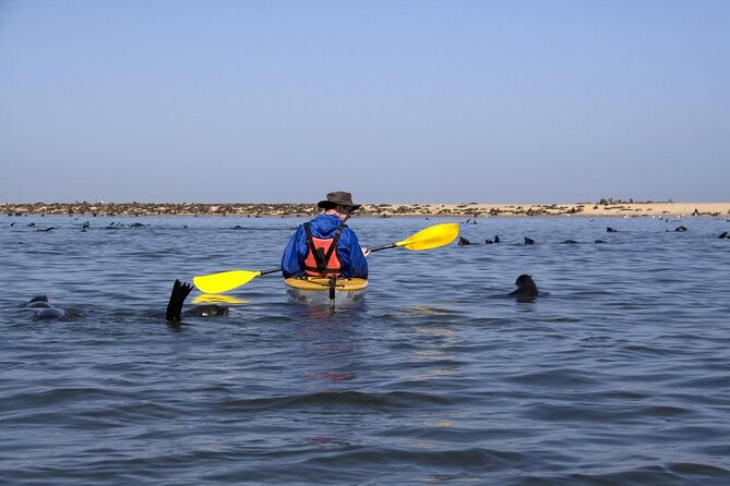 Sandwich Harbour & Pelican Point Full Day Tour - Starting at Walvis Bay Waterfront