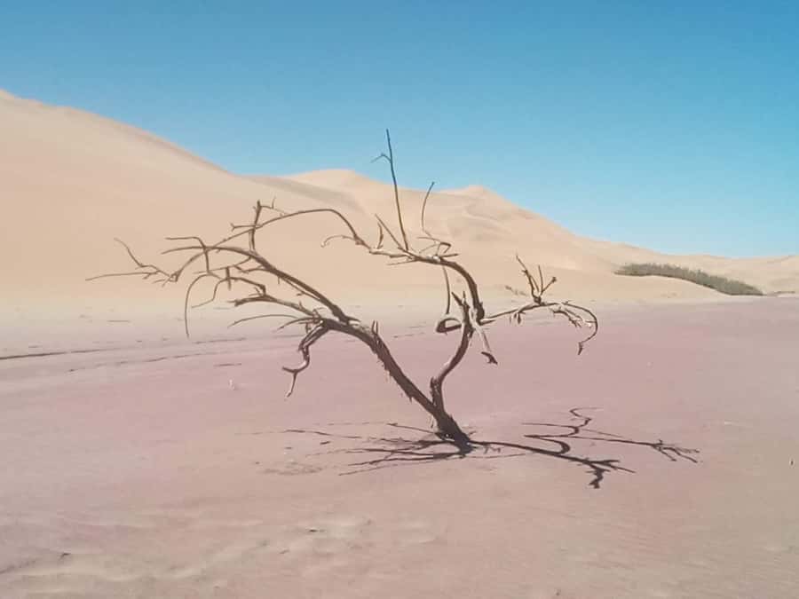 Sandwich harbour r Kayak and dune tour - Returning to Walvis Bay before lunch