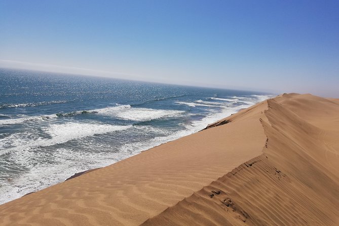 Sandwich Harbour Scenic Excursion - Design for the Cruise Ships - Picnic lunch in a sheltered desert valley