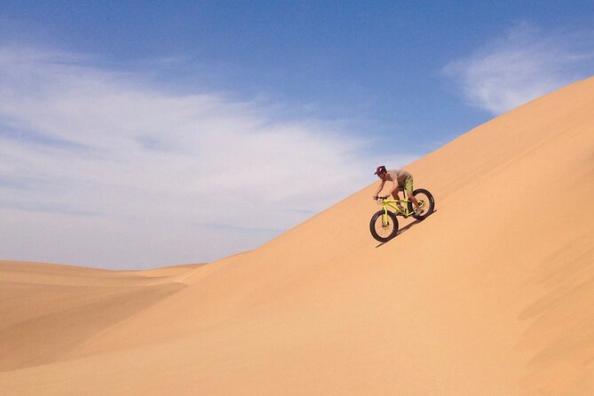 Scenic Desert Tour by Bike - Key points to know before you book