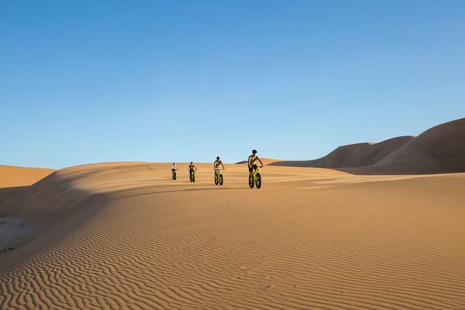 Scenic Desert Tour by Bike - Downhill runs for bold riders, sensible choices for everyone else