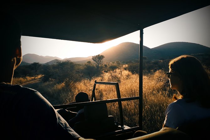 Scenic Game Drive Activity - Key points to know before booking