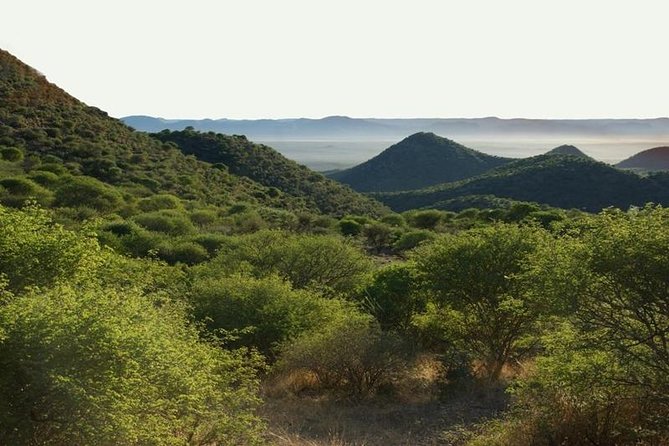 Scenic Game Drive Activity - Why this half-day safari works well from Windhoek