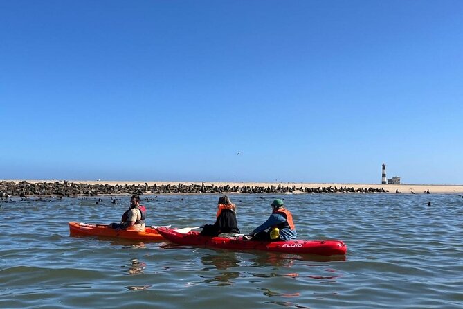Seal Kayaking at Pelican Point from Swakopmund - Key points at a glance